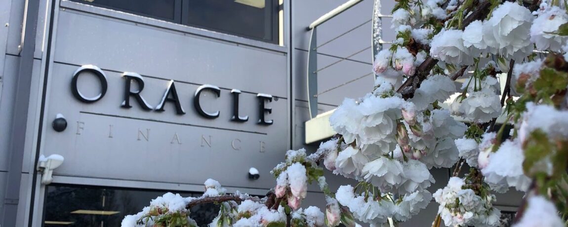 Oracle Finance building 2024 Blossom Tree