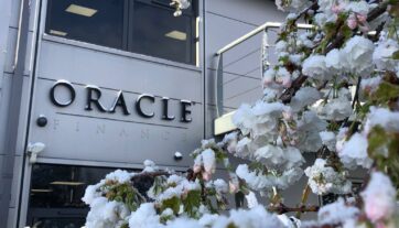 Oracle Finance building 2024 Blossom Tree